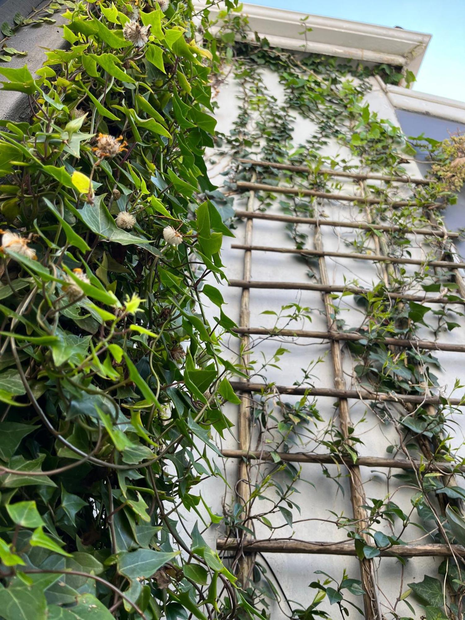 Seaside Getaway @ Swallow House Suite #2 Cape Town Exterior photo