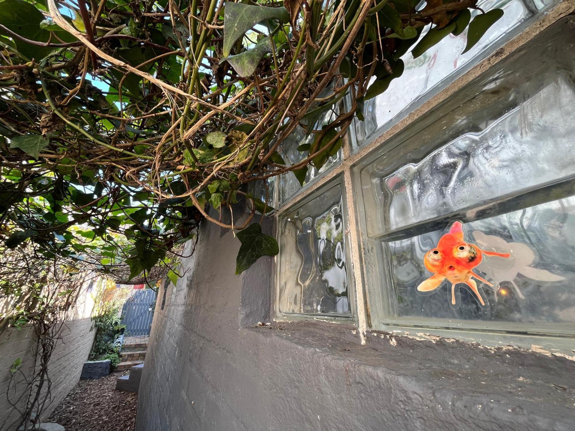 Seaside Getaway @ Swallow House Suite #2 Cape Town Exterior photo